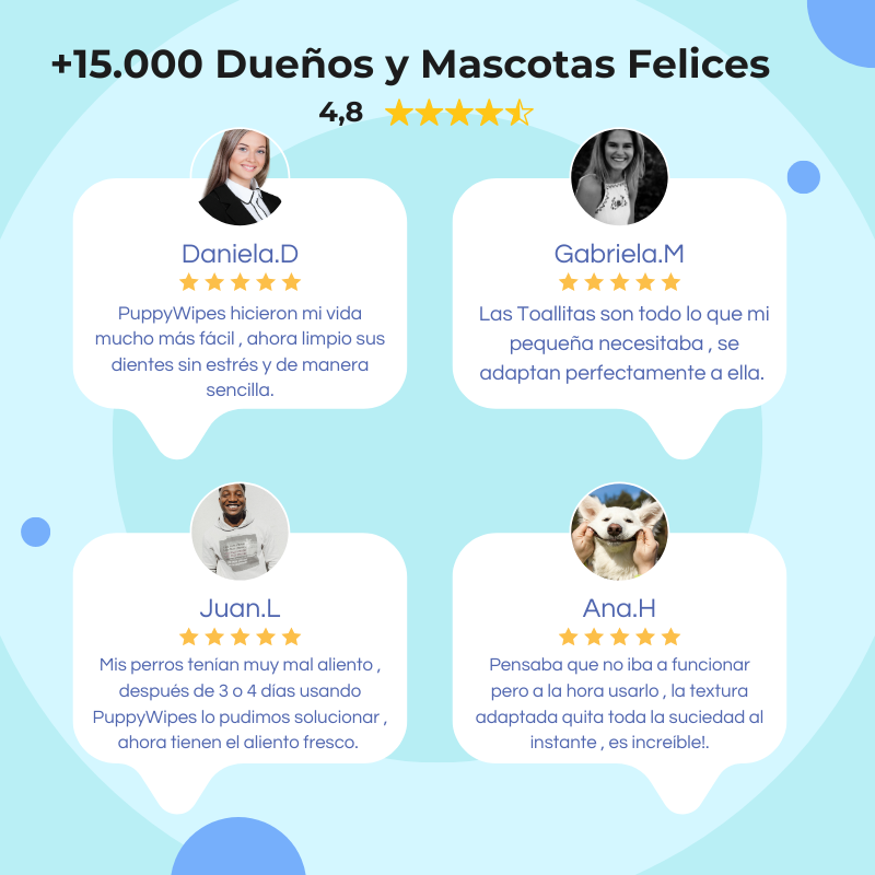 PuppyWipes™- Elimina la placa en 30 segundos