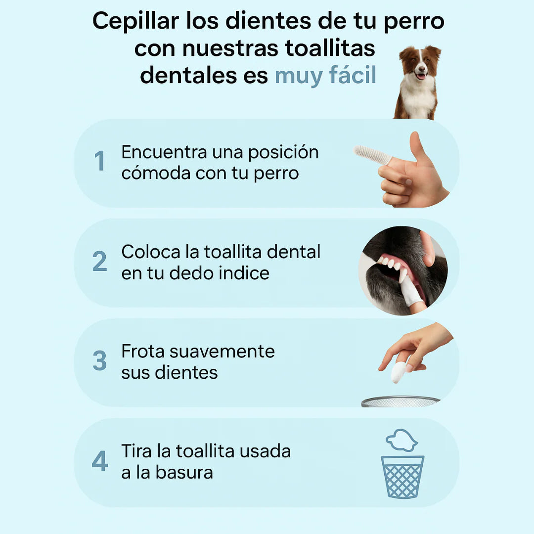 PuppyWipes™- Elimina la placa en 30 segundos