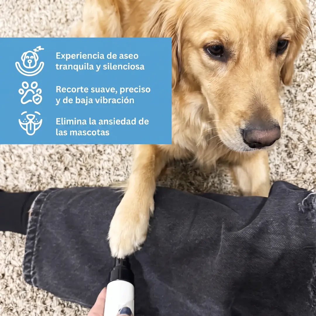 Lima de uñas Silent Pro