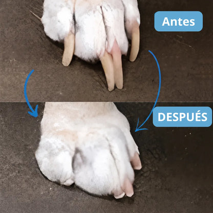 Lima de uñas Silent Pro