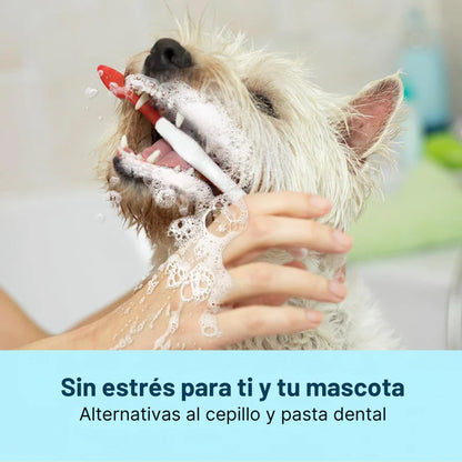 PuppyWipes™- Elimina la placa en 30 segundos