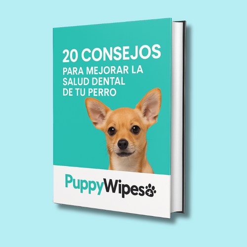 E-Book Gratis